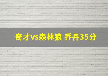 奇才vs森林狼 乔丹35分